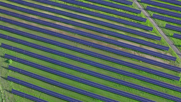 Rows of Photovoltaic Solar Cells alt