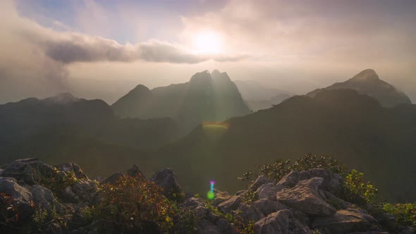 Travel Viewpoint and the morning fog. alt