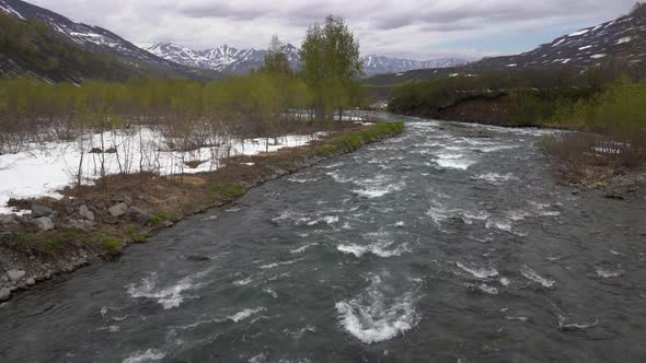 Early Spring Landscape Cold Mount River, Just Flowering Trees Along Riverbanks