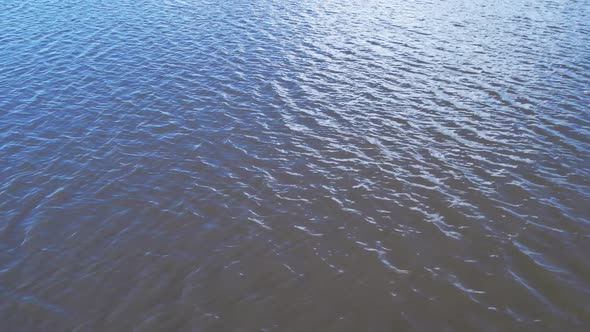 Stunning landscape of Amazon Forest at Amazonas State Brazil. alt