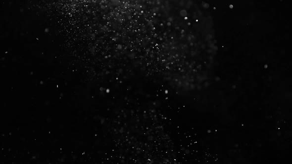 Natural Organic Dust Particles on Black Background