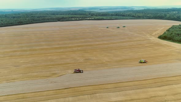 Agricultural Combines Harvesting Wheat On The Big Field. alt