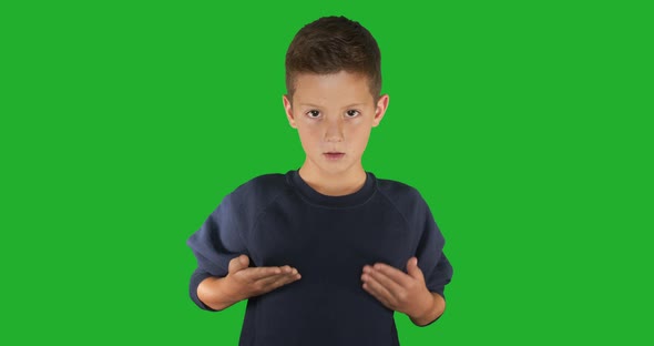 Deaf Boy Signing I Know Sign Language, Communication for Hearing Impaired. Green Screen alt