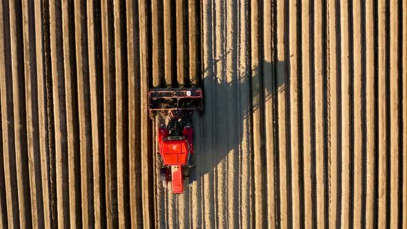Aerial View of Tractor Performs Seeding on the Field alt