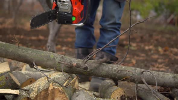 Lumberjack Man Starting a Chainsaw and Sawing Tree Log in Slow Motion