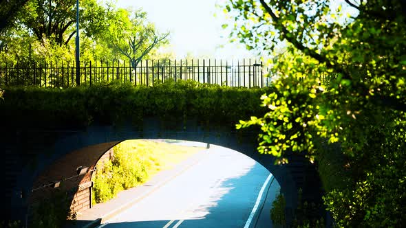 Arch Bridge with Living Bush Branches in Park alt