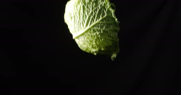 Green Beijing Cabbage. Tossing. Alpha Channel