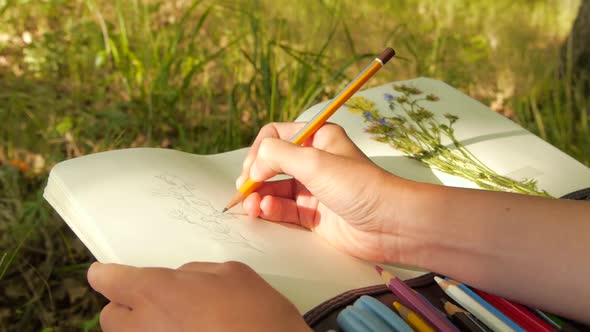 Detail of a woman painter/artist painting a picture of a wildflower, outdoors in the forest