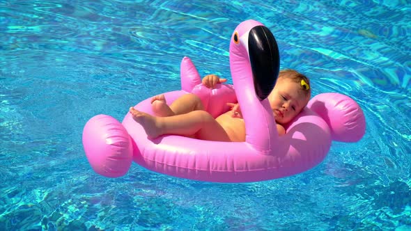 Baby Swims in a Circle in the Pool alt