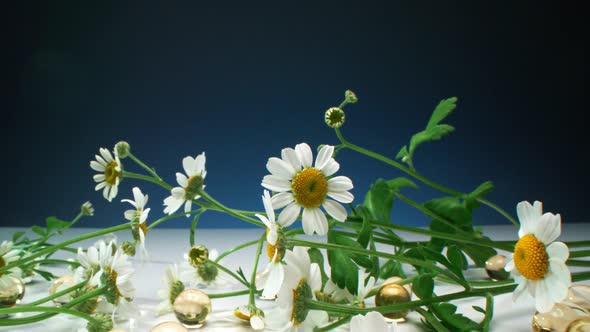 Many Daisies Among Gel Beads alt