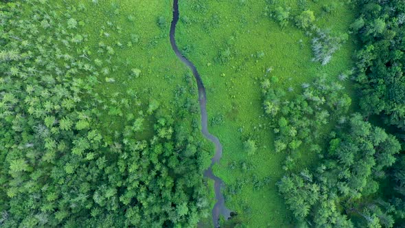 Aerial view over lake in the forest alt