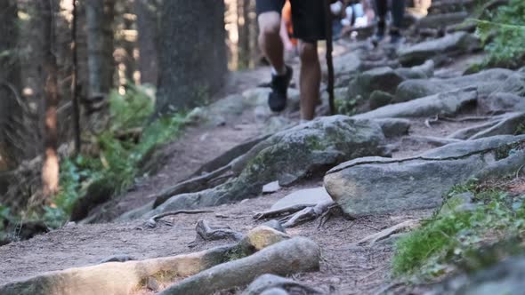 View of Legs of Group Tourists Climbing Up Along Stone Trail in Mountain Forest alt