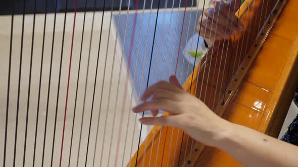Woman Plays Harp