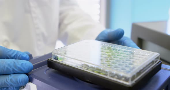 Scientist shaking microplate on orbital shakers  alt