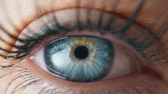 Opening and Blinking Female Eye with a Blue Iris and Long Lashes Painted with Mascara alt