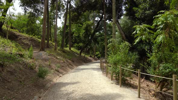 Stone Path Leading Down to Botanical Garden of the University of Coimbra