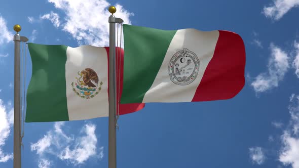 Mexico Flag Vs Solidaridad Flag On Flagpole alt