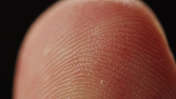 Human Fingerprint Identification Privacy Security Closeup of Man Finger alt
