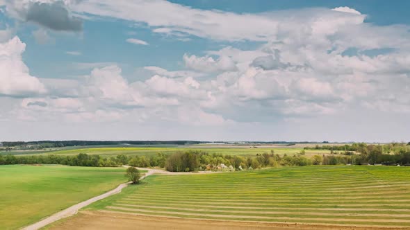Countryside Rural Field Landscape With Young Wheat Sprouts In Spring Summer Cloudy Day alt