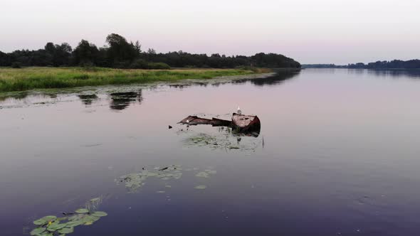 birds sit on rust wrecks of sunken vessel in water, orbiting shot