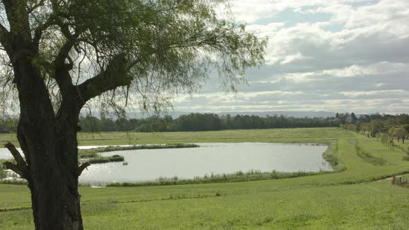 Scenic landscape of a pond in the middle of a flood plain on a cloudy day alt