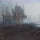 Heavy Smoke Forest Fire Ukraine In Spring - VideoHive Item for Sale