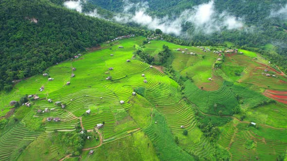 Aerial view of drones flying over rice terraces alt