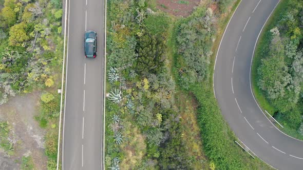 Aerial View - Several Cars Pass Through the Serpentine in the Mountains in a Large Number of Plants