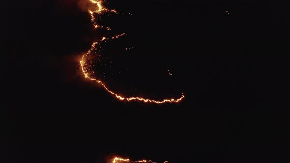 Forest Fire at Night Aerial Drone Shot View Burning Field of Dry Grass in Flame