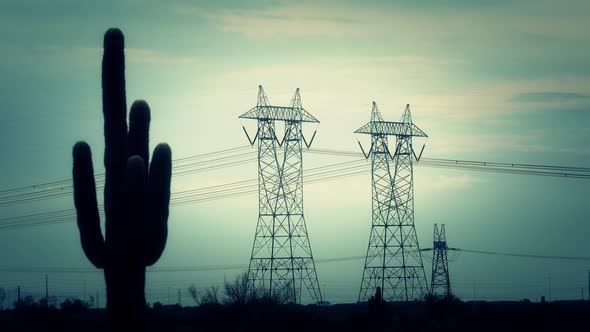 Ominous Powerlines and Cactus alt