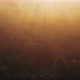 Foggy autumn forest at sunrise. Aerial view. - VideoHive Item for Sale