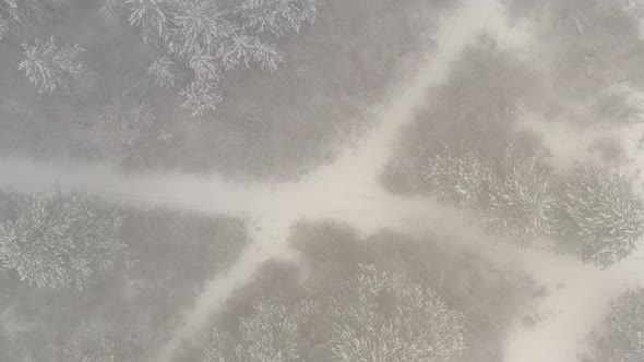 Fog over the roads in the woods 4K drone footage alt