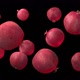 Pomegranate Fruit - VideoHive Item for Sale