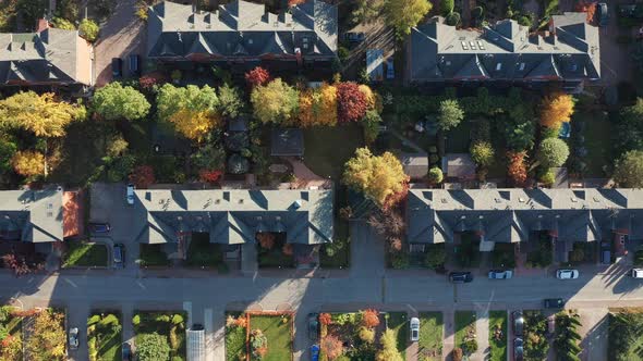 Top View of Colorful Autumn Trees Among Cosy Townhouses