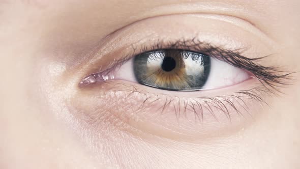 One Human Eye Close-up