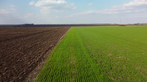 Fly backwards above green field, cultivated land