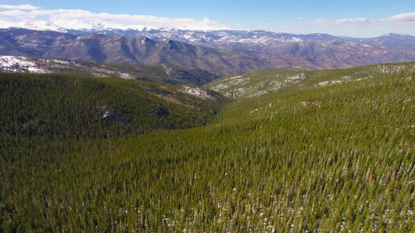 Establishing Aerial Footage Flying Over Vast Wide Open Pine Tree Forest Mountains In Colorado Rocky alt