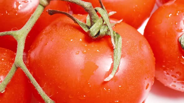 Tomatoes alt
