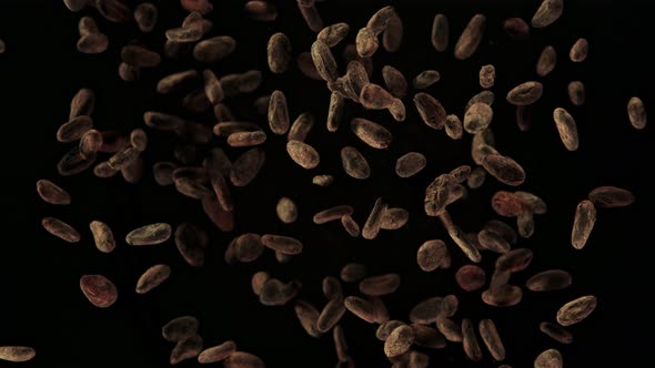 Super Slow Motion Shot of Exploding Raw Cocoa Beans on Black Background at 1000Fps. alt
