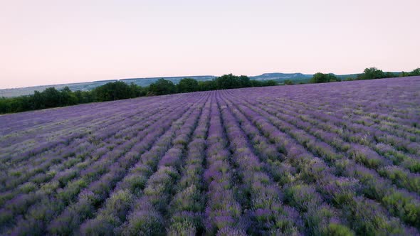 Aerial Nature Landscape Video