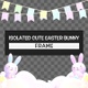 Isolated Cute Easter Bunny Frame - VideoHive Item for Sale