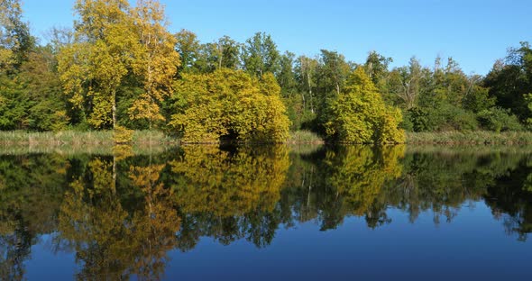 The pond Sainte Perine, Forest of Compiegne, Picardy, France. alt