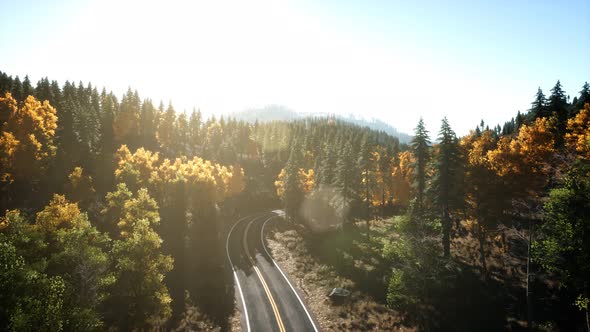 Aerial Drone View Flight Over Pine Tree Forest in Mountain at Sunset alt