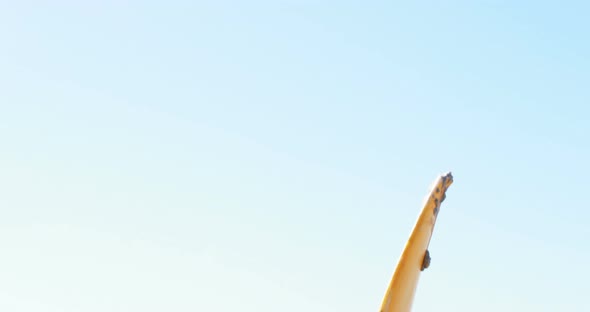 Senior woman with surfboard standing on beach alt