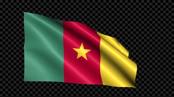 Cameroon Flag Blowing In The Wind alt