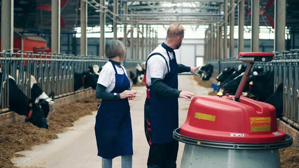 Two Farmworkers are Operating an Automated Feed Pusher alt