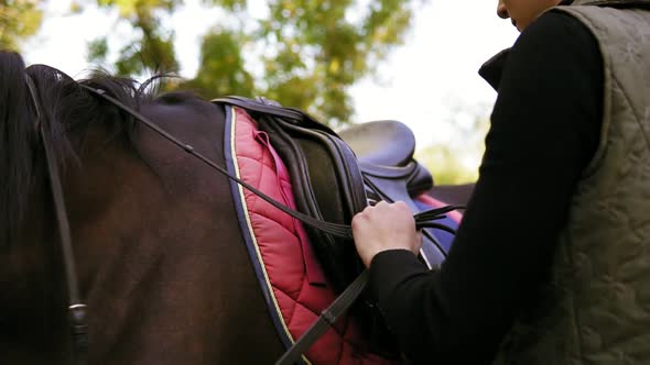Young Beautiful Female Rider Puts a Saddle on Her Horse and Prepares Animal for Dressage Tying Up alt