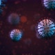 Virus 4K - VideoHive Item for Sale