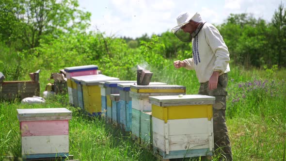 Beekeeper works in apiary. Beekeeper fumbles bee hive with white smoke alt