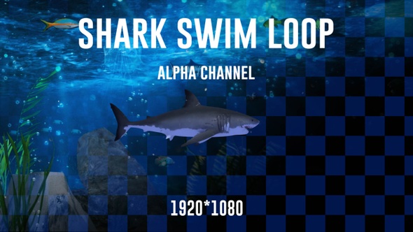 Shark Swim Alpha Loop